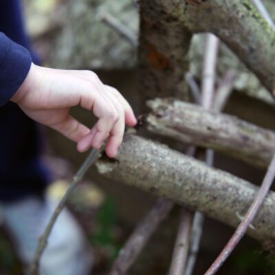 Gathering sticks in the forest