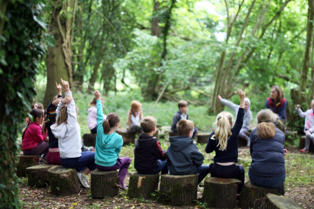 Children in forest school